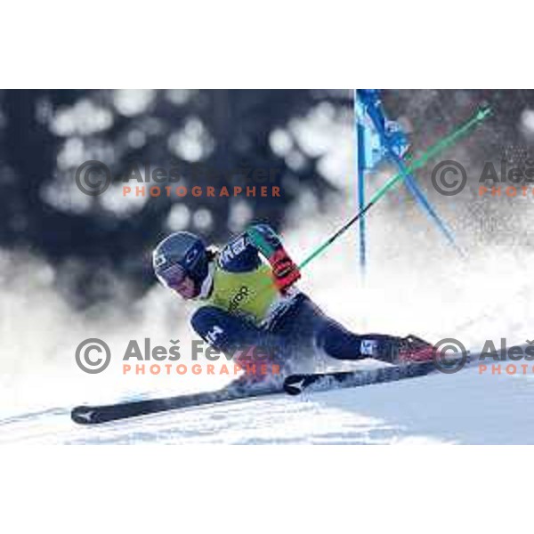 AUDI FIS Ski World Cup Giant Slalom for 62.Vitranc Cup, Kranjska Gora, Slovenia on March 12, 2023