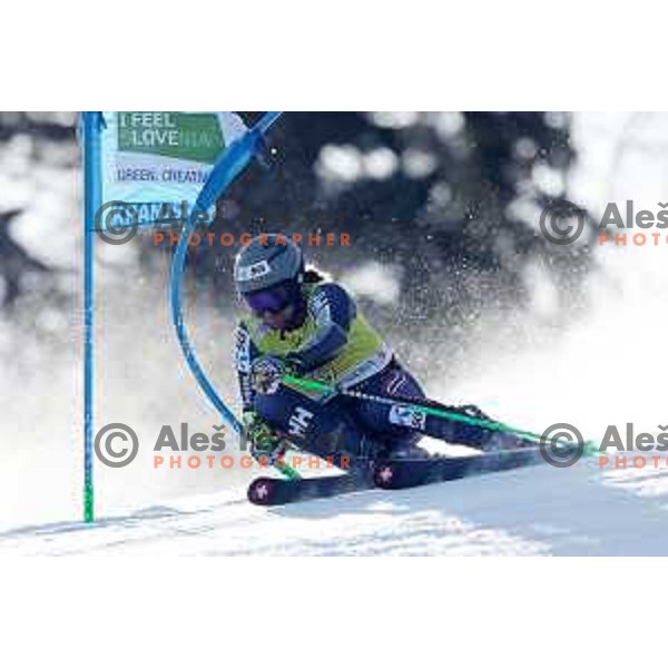 AUDI FIS Ski World Cup Giant Slalom for 62.Vitranc Cup, Kranjska Gora, Slovenia on March 12, 2023