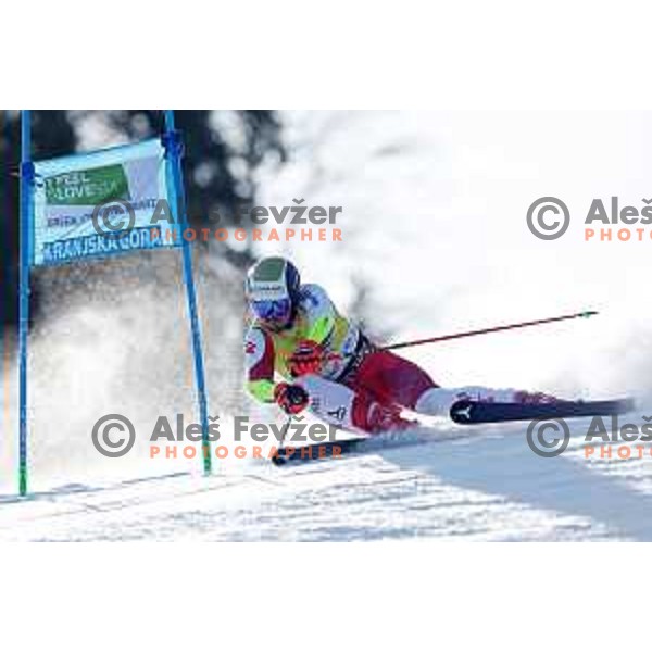 AUDI FIS Ski World Cup Giant Slalom for 62.Vitranc Cup, Kranjska Gora, Slovenia on March 12, 2023