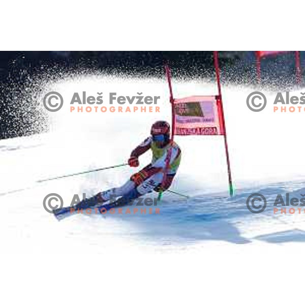 AUDI FIS Ski World Cup Giant Slalom for 62.Vitranc Cup, Kranjska Gora, Slovenia on March 12, 2023