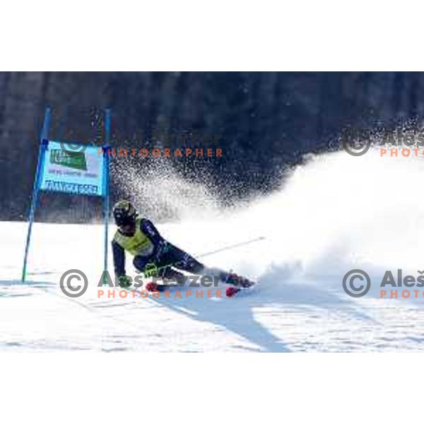 AUDI FIS Ski World Cup Giant Slalom for 62.Vitranc Cup, Kranjska Gora, Slovenia on March 12, 2023