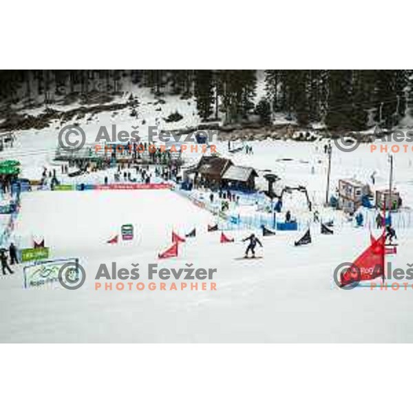 at FIS Snowboard World Cup Parallel Giant Slalom at Rogla Ski resort, Slovenia on March 15, 2023