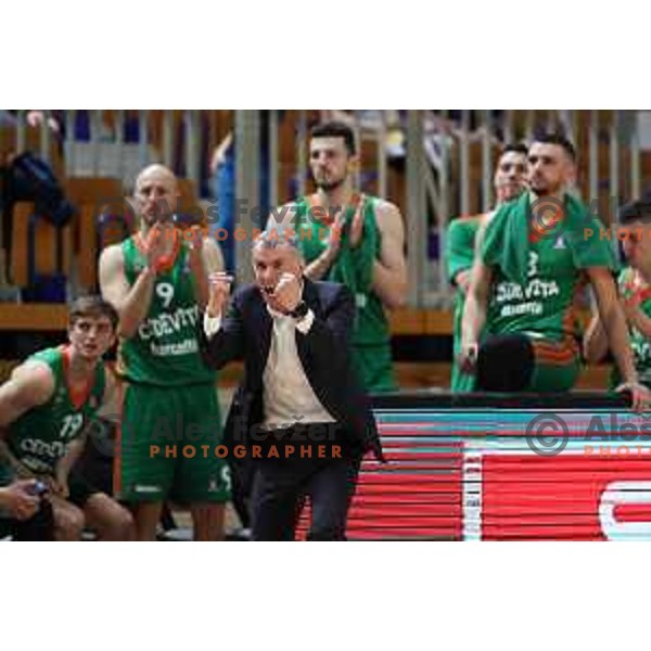 Miro Alilovic, head coach of Cedevita Olimpija during ABA league 2022-2033 regular season match between Cedevita Olimpija and Cibona (CRO) in Ljubljana, Slovenia on March 18, 2023