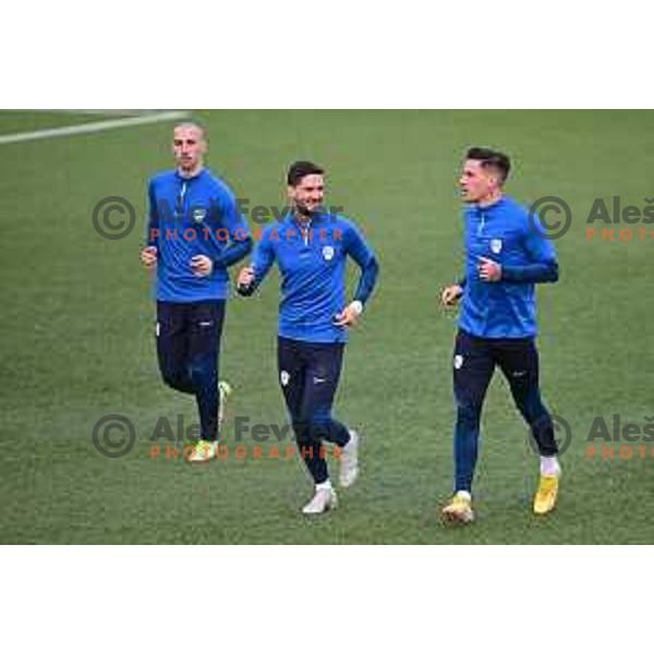 Practice session of Slovenia National Football team in Kranj on March 20, 2023