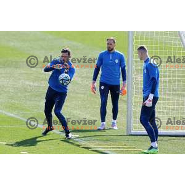 Vid Belec during practice session of Slovenia National football team at NNC Brdo, Slovenia on March 21, 2023