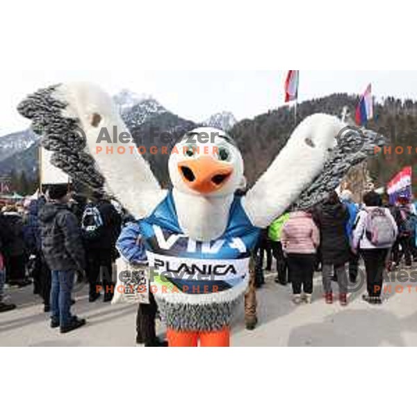 Ski flying fans during Qualification of Men\'s Ski Flying Individual at the Final of FIS Ski jumping World Cup in Planica, Slovenia on March 30, 2023