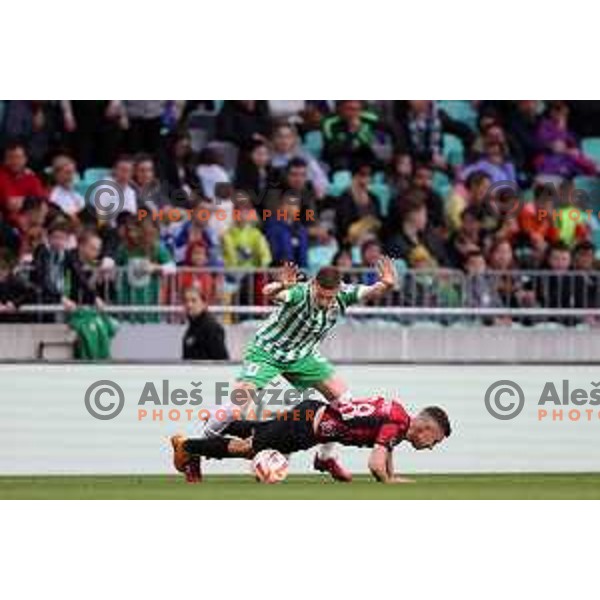 during Prva Liga Telemach 2022-2023 football match between Olimpija and Tabor Sezana in SRC Stozice, Ljubljana, Slovenia on April 2, 2023