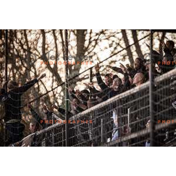 Black Gringos during Prva liga Telemach football match between Mura and Celje in Fazanerija, Murska Sobota, Slovenia on April 10, 2023. Photo: Jure Banfi