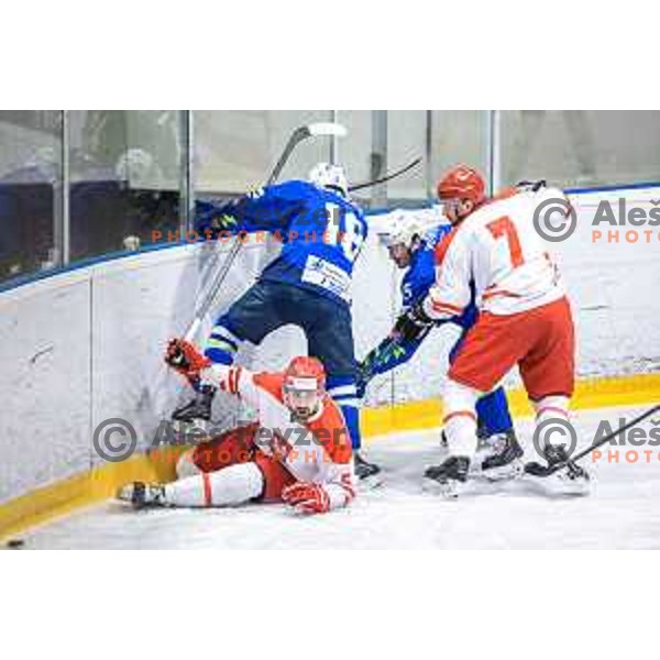 in action during friendly ice hockey match between Slovenia and Poland in Ledna Dvorana, Maribor, Slovenia on April 13, 2023. Photo: Jure Banfi