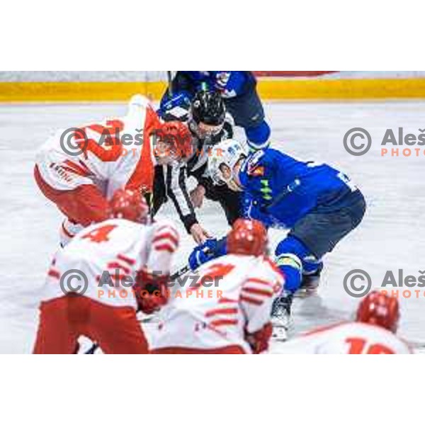 in action during friendly ice hockey match between Slovenia and Poland in Ledna Dvorana, Maribor, Slovenia on April 13, 2023. Photo: Jure Banfi
