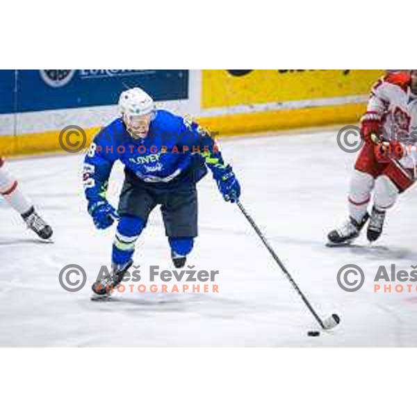 in action during friendly ice hockey match between Slovenia and Poland in Ledna Dvorana, Maribor, Slovenia on April 13, 2023. Photo: Jure Banfi
