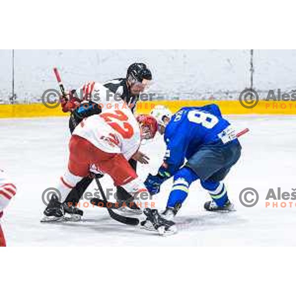 in action during friendly ice hockey match between Slovenia and Poland in Ledna Dvorana, Maribor, Slovenia on April 13, 2023. Photo: Jure Banfi