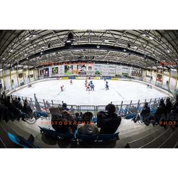 in action during friendly ice hockey match between Slovenia and Poland in Ledna Dvorana, Maribor, Slovenia on April 13, 2023. Photo: Jure Banfi