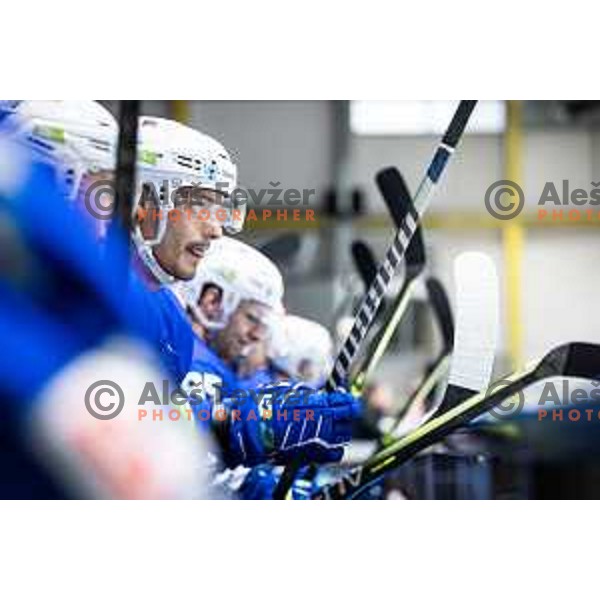 in action during friendly ice hockey match between Slovenia and Poland in Ledna Dvorana, Maribor, Slovenia on April 13, 2023. Photo: Jure Banfi