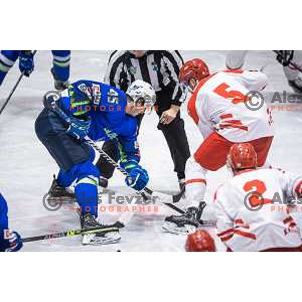 in action during friendly ice hockey match between Slovenia and Poland in Ledna Dvorana, Maribor, Slovenia on April 13, 2023. Photo: Jure Banfi