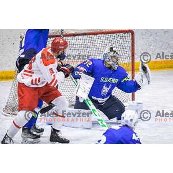 in action during friendly ice hockey match between Slovenia and Poland in Ledna Dvorana, Maribor, Slovenia on April 13, 2023. Photo: Jure Banfi