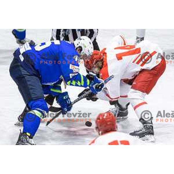 in action during friendly ice hockey match between Slovenia and Poland in Ledna Dvorana, Maribor, Slovenia on April 13, 2023. Photo: Jure Banfi