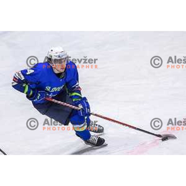 in action during friendly ice hockey match between Slovenia and Poland in Ledna Dvorana, Maribor, Slovenia on April 13, 2023. Photo: Jure Banfi