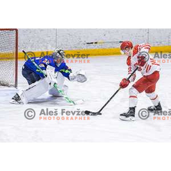 in action during friendly ice hockey match between Slovenia and Poland in Ledna Dvorana, Maribor, Slovenia on April 13, 2023. Photo: Jure Banfi