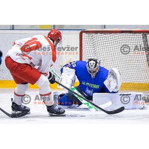 in action during friendly ice hockey match between Slovenia and Poland in Ledna Dvorana, Maribor, Slovenia on April 13, 2023. Photo: Jure Banfi