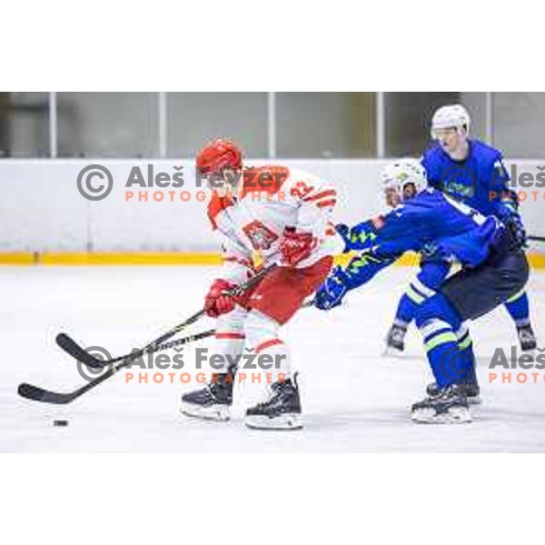 in action during friendly ice hockey match between Slovenia and Poland in Ledna Dvorana, Maribor, Slovenia on April 13, 2023. Photo: Jure Banfi