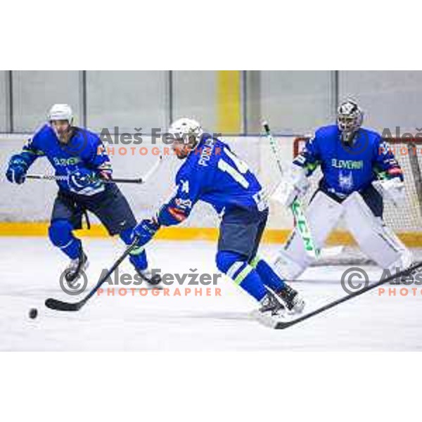 in action during friendly ice hockey match between Slovenia and Poland in Ledna Dvorana, Maribor, Slovenia on April 13, 2023. Photo: Jure Banfi