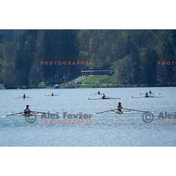 International Rowing Regatta on Lake Bled, Slovenia on April 22, 2023