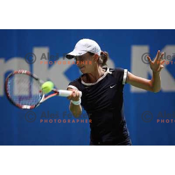 Petra Martic (CRO) at Banka Koper Slovenia Open WTA tennis tournament, Portoroz, 25.7.2008. Photo by Ales Fevzer 