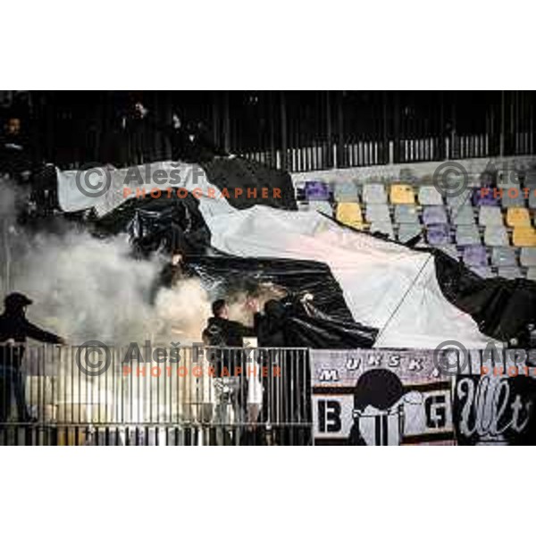 Black Gringos during Prva liga Telemach football match between Maribor and Mura in Ljudski vrt, Maribor, Slovenia on May 2, 2023. Photo: Jure Banfi