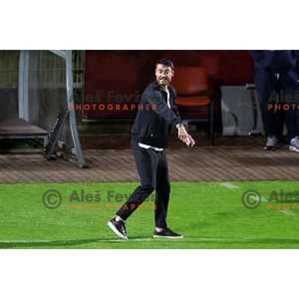 Albert Riera at Pivovarna Union Slovenian Cup match between Olimpija and Maribor in Celje on May 6, 2023
