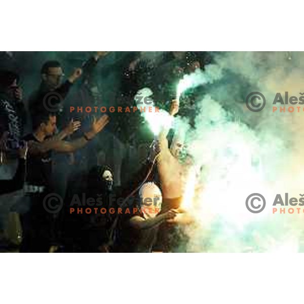 Green Dragons, fans of Olimpija at Pivovarna Union Slovenian Cup match between Olimpija and Maribor in Celje on May 6, 2023