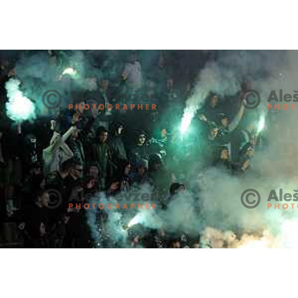 Green Dragons, fans of Olimpija at Pivovarna Union Slovenian Cup match between Olimpija and Maribor in Celje on May 6, 2023