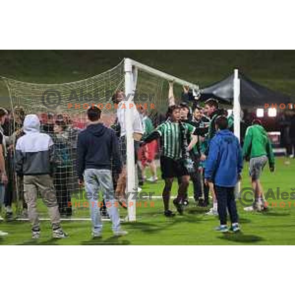 Green Dragons, fans of Olimpija celebrate victory at Pivovarna Union Slovenian Cup match between Olimpija and Maribor in Celje on May 6, 2023