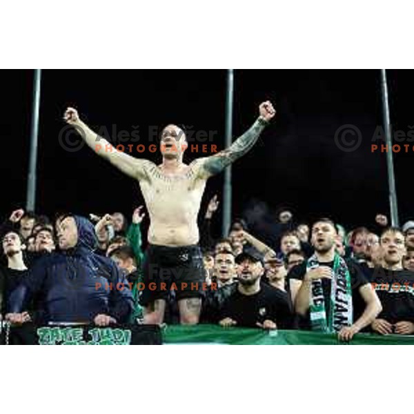 Green Dragons, fans of Olimpija celebrate victory at Pivovarna Union Slovenian Cup match between Olimpija and Maribor in Celje on May 6, 2023