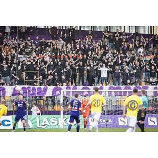 Viole during Prva liga Telemach football match between Maribor and Bravo in Ljudski vrt, Maribor, Slovenia on May 20, 2023. Photo: Jure Banfi