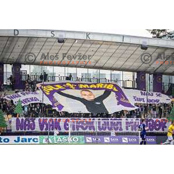 Viole during Prva liga Telemach football match between Maribor and Bravo in Ljudski vrt, Maribor, Slovenia on May 20, 2023. Photo: Jure Banfi