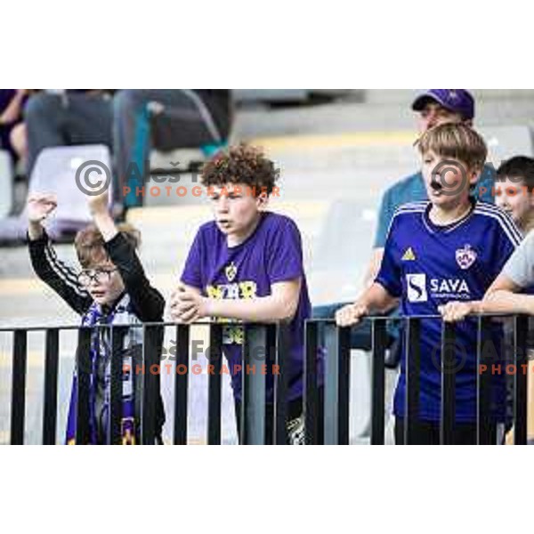 Maribor supporters during Prva liga Telemach football match between Maribor and Bravo in Ljudski vrt, Maribor, Slovenia on May 20, 2023. Photo: Jure Banfi