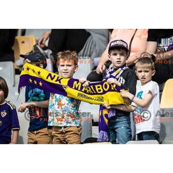 Maribor supporters during Prva liga Telemach football match between Maribor and Bravo in Ljudski vrt, Maribor, Slovenia on May 20, 2023. Photo: Jure Banfi