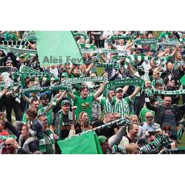 Players of Olimpija and fans celebrate title of Prva Liga Telemach 2022-2023 in SRC Stozice, Ljubljana, Slovenia on May 20, 2023