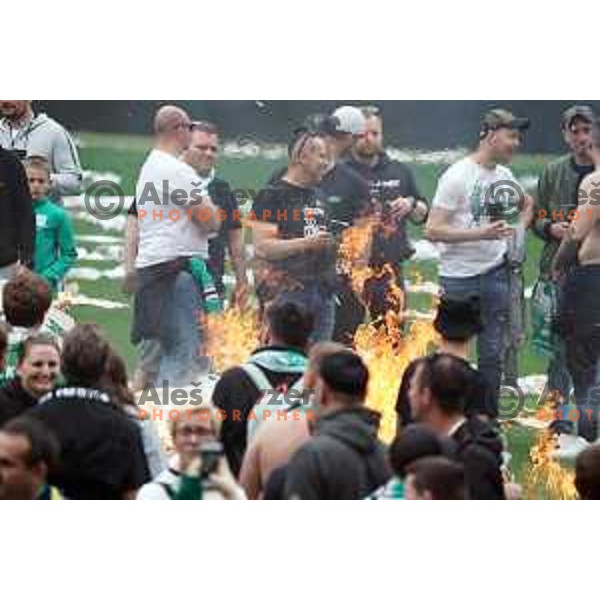 Players of Olimpija and fans celebrate title of Prva Liga Telemach 2022-2023 in SRC Stozice, Ljubljana, Slovenia on May 20, 2023