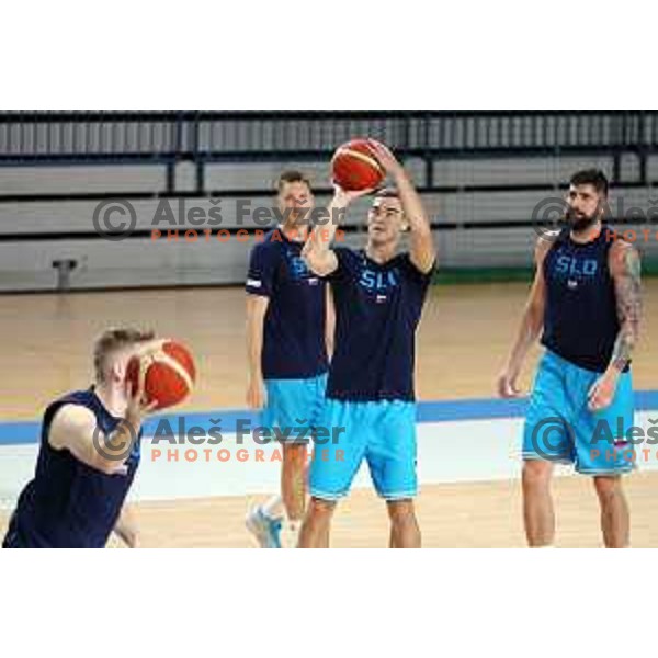 Ziga Samar of Slovenia National Basketball team during a practice session in Arena Zlatorog in Celje on July 18, 2023