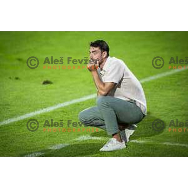 Albert Riera, head coach of Celje during Prva liga Telemach football match between Celje and Mura in Arena z’dezele, Slovenia on July 30, 2023. Photo: Jure Banfi