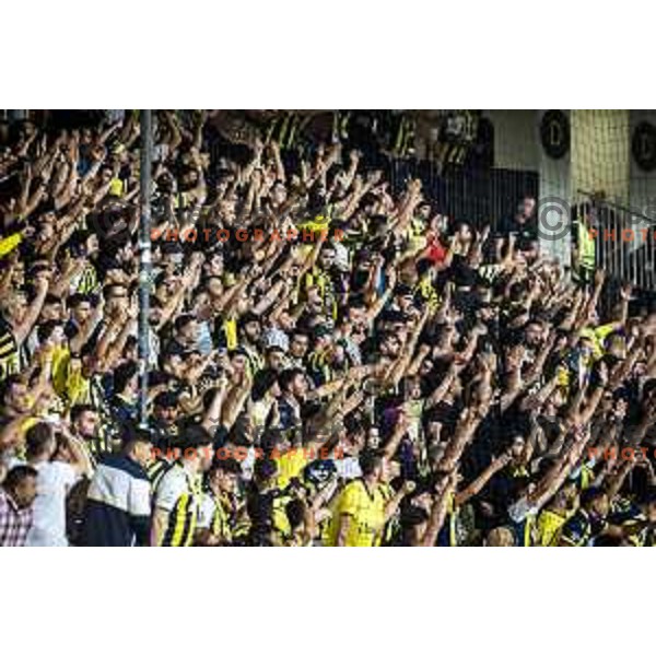 Fenerbahce supporters during UEFA Europa Conference League qualifications football match between Maribor and Fenerbahce in Ljudski vrt, Maribor, Slovenia on August 17, 2023. Photo: Jure Banfi