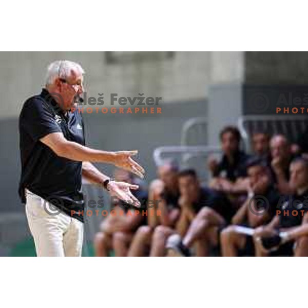 Zeljko Obradovic, head coach of Partizan during a presentation at Euroleague Referees Clinic in Ljubljana, Slovenia on August 27, 2023