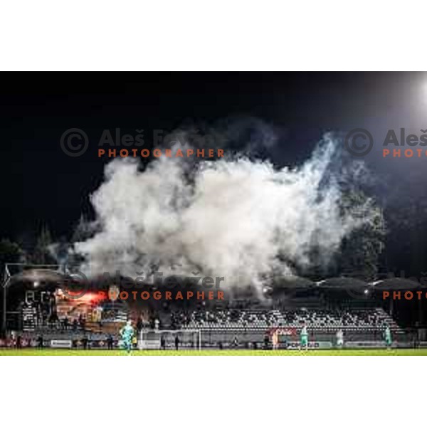 Mura supporters Black Gringos celebrating 32nd birthday during Prva liga Telemach football match between Mura and Olimpija in Fazanerija, Murska Sobota, Slovenia on September 3, 2023. Foto: Jure Banfi