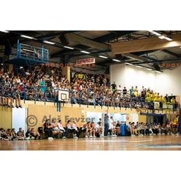 In action during 1.NLB leasing league handball match between Trimo Trebnje and Gorenje Velenje in Trebnje, Slovenia on September 17, 2023