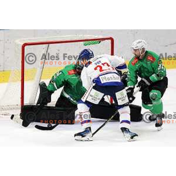 IceHL match between SZ Olimpija and Tiwag Innsbruck in Ljubljana, Slovenia on September 23, 2023