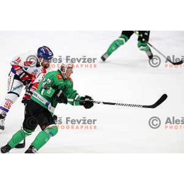 IceHL match between SZ Olimpija and Tiwag Innsbruck in Ljubljana, Slovenia on September 23, 2023