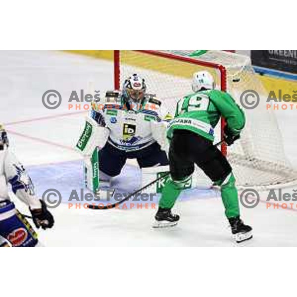 Aljaz Predan in action during IceHL match between SZ Olimpija and VSV in Tivoli Hall, Ljubljana, Slovenia on October 13, 2023