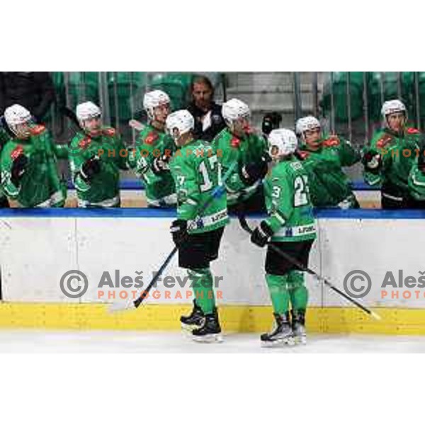 In action during IceHL match between SZ Olimpija and VSV in Tivoli Hall, Ljubljana, Slovenia on October 13, 2023